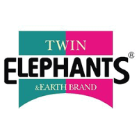 TWIN ELEPHANT